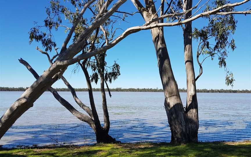 Lake Broadwater Conservation Park, Dalby, QLD