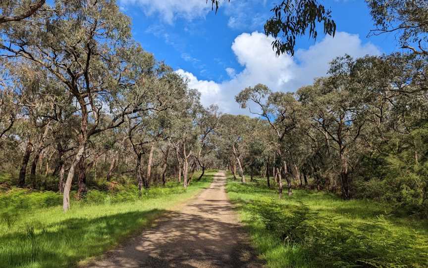 Langwarrin Flora & Fauna Reserve, Langwarrin, VIC