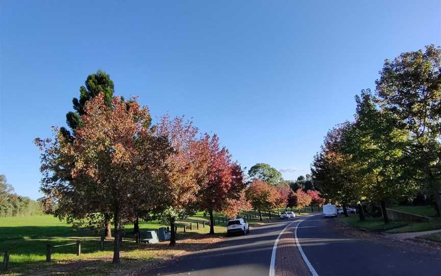 Leacock Regional Park, Casula, NSW