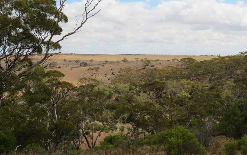 Lenger Reserve, Mannum, SA