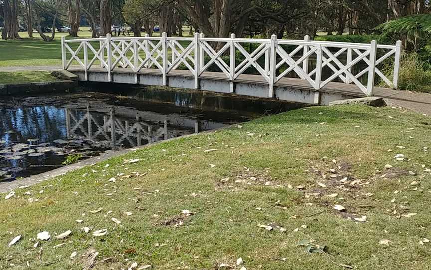 Lily Pond, Centennial Park, NSW