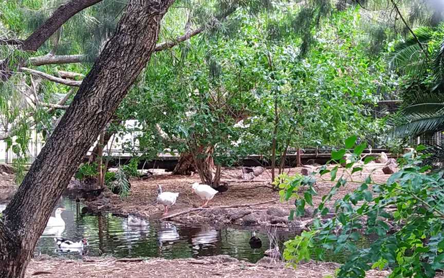 Lissner Park, Charters Towers City, QLD