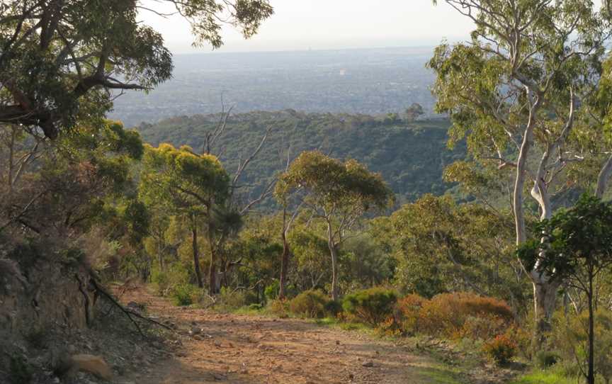 Living in the Rangelands Trail, Hawker, SA