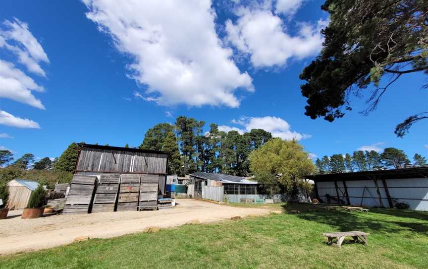 Logan Brae Orchard, Megalong Valley, NSW