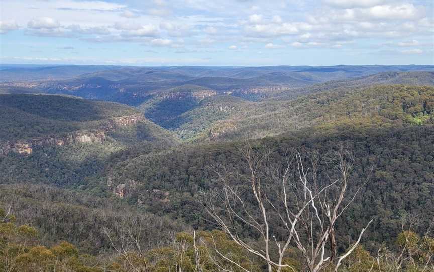 Lovers Walking Track, Bundanoon, NSW