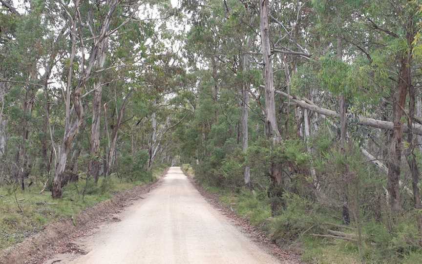 Lower Snowy Drive (Barry Way), Kosciuszko National Park, NSW