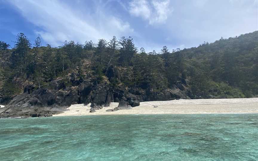 Luncheon Bay Dive Site, Hook Island, QLD