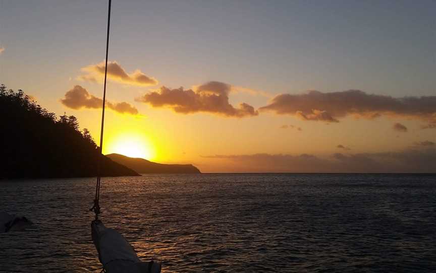 Luncheon Bay Dive Site, Hook Island, QLD