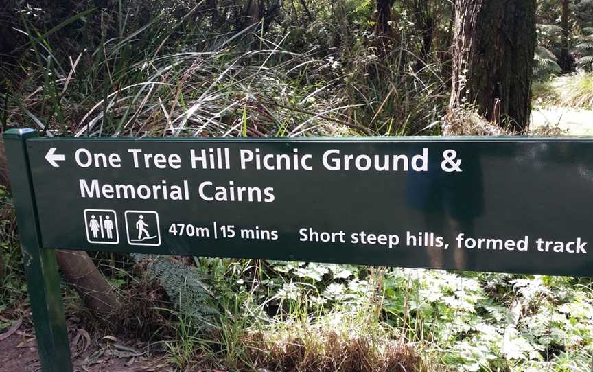 Lyrebird Track, Tremont, VIC