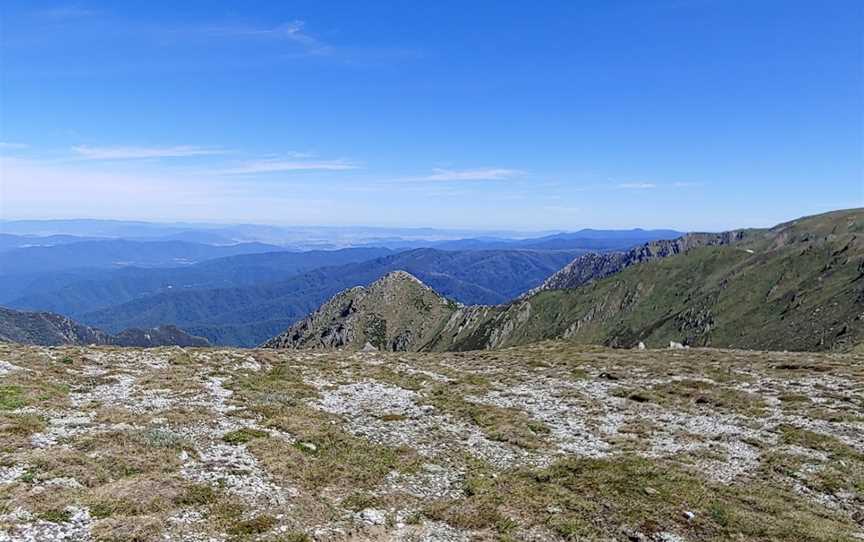 Main Range Track, Kosciuszko National Park, NSW