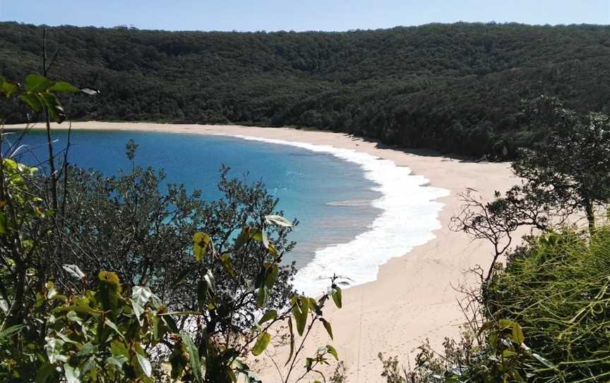 Maitland Bay Track, Bouddi, NSW