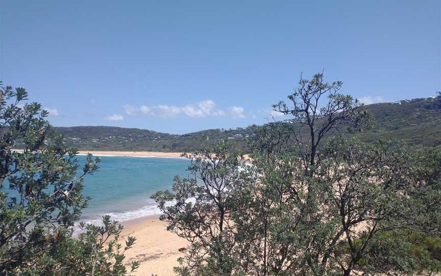 Maitland Bay Track, Bouddi, NSW