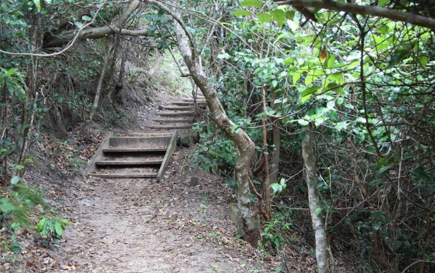 Maitland Bay Track, Bouddi, NSW