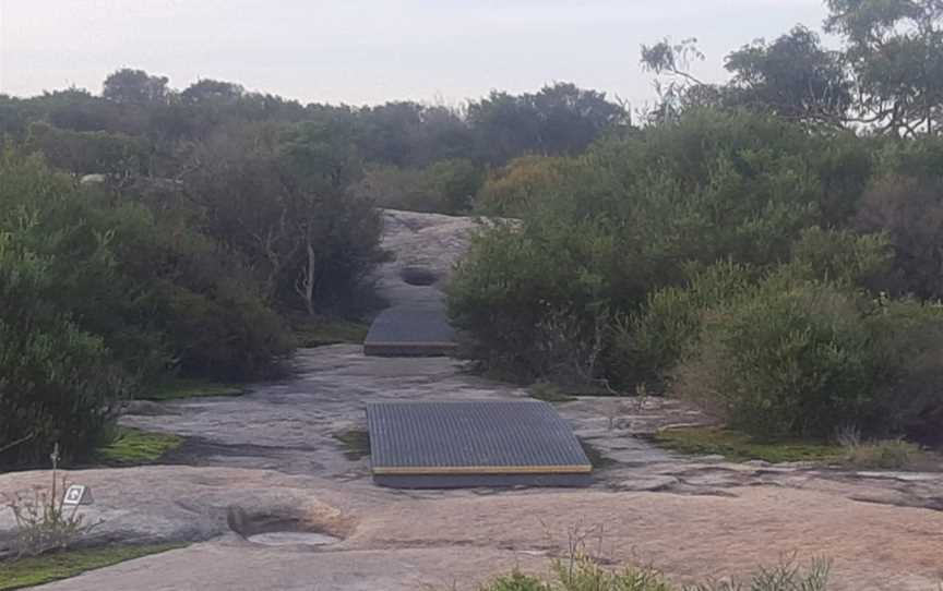 Malabar Headland National Park Western Escarpment Walking Track, Malabar, NSW