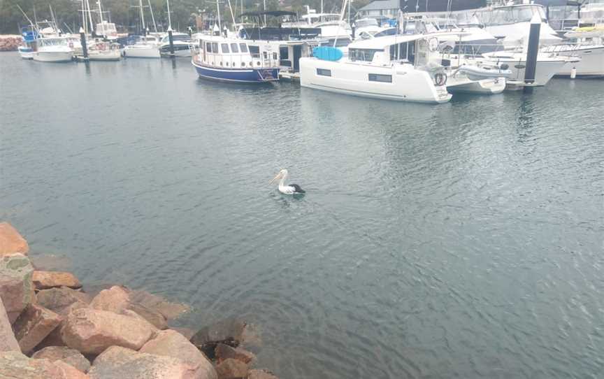 Maritime Trail, Bourke, NSW