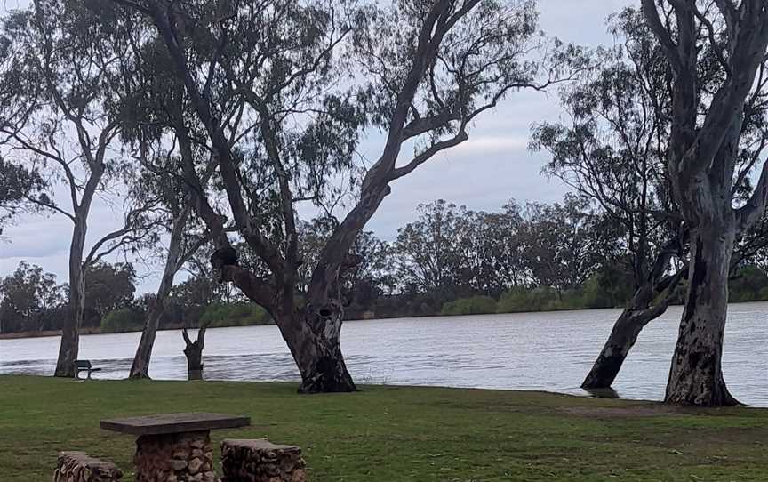 Martin Bend Wetland and Walking Trail, Berri, SA