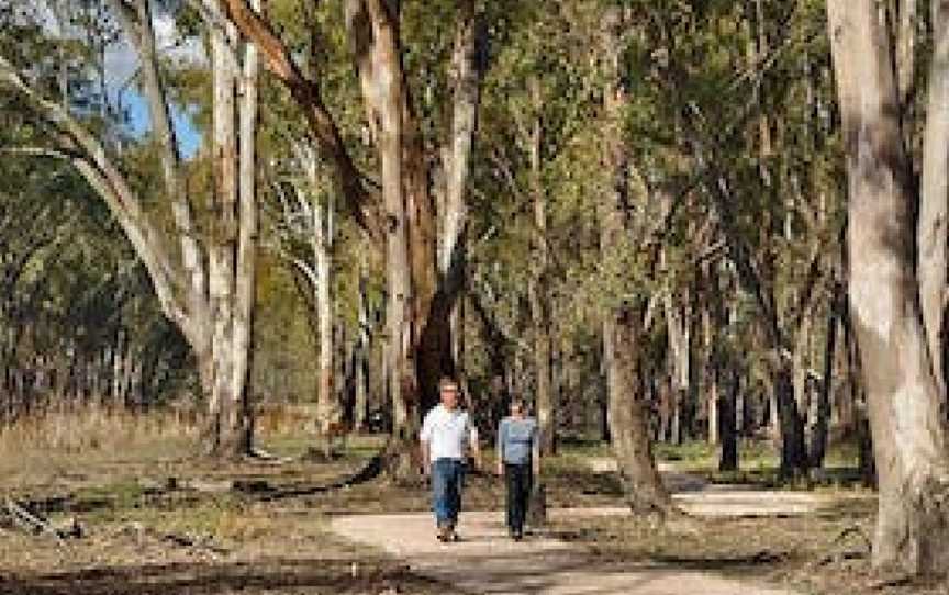 McCaugheys Lagoon, Yanco, NSW