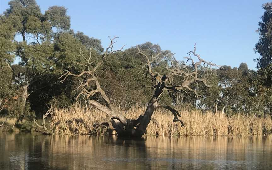 Melton Botanic Garden, Melton, VIC