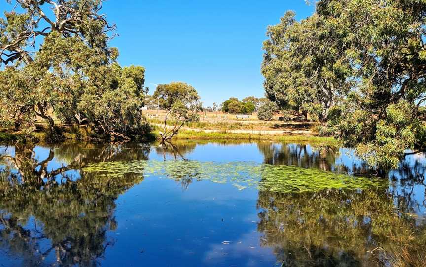 Melton Botanic Garden, Melton, VIC