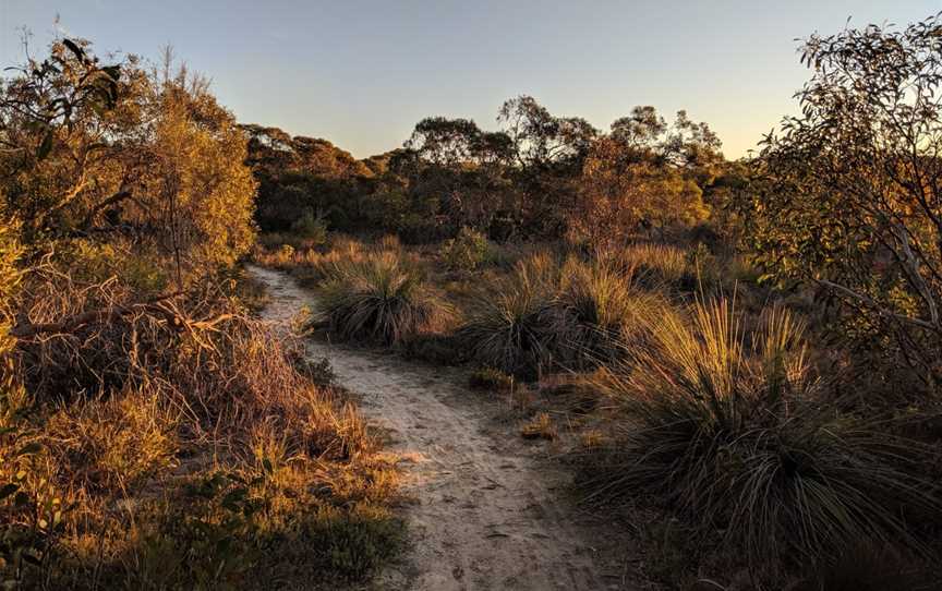 Meningie Lions Walking Trail, Meningie, SA