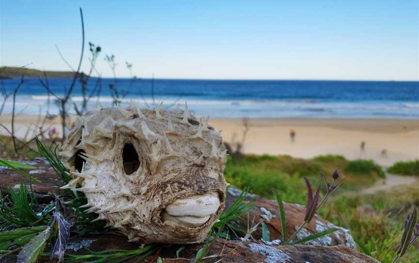 Minnamurra Beach, Minnamurra, NSW