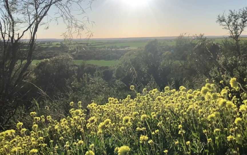 Mingenew Hill, Lockier, WA