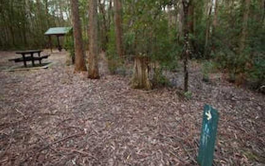 Mongarlowe River picnic area, Monga, NSW