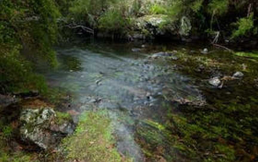 Mongarlowe River picnic area, Monga, NSW