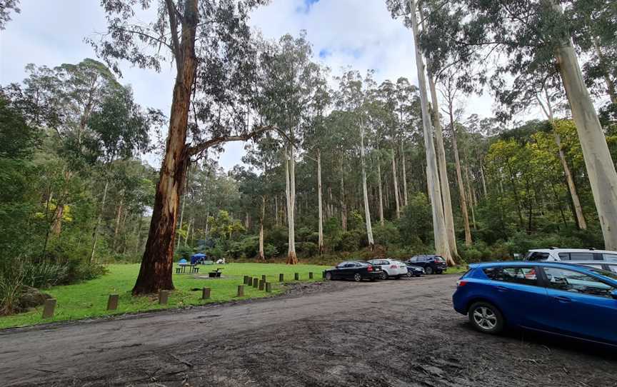 Mortimer Picnic Ground, Gembrook, VIC