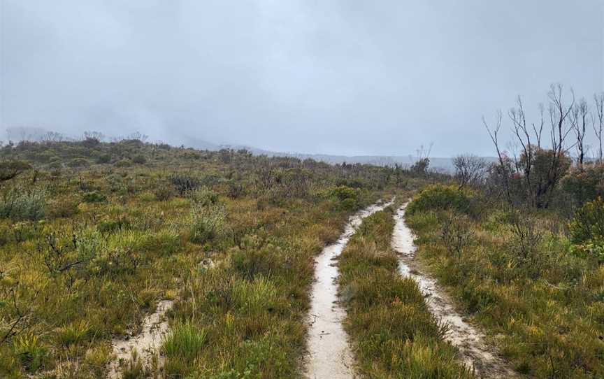 Mount Banks Road Cycle Route, Blue Mountains National Park, NSW