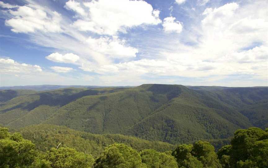 Mount Barrington picnic area, Barrington Tops, NSW