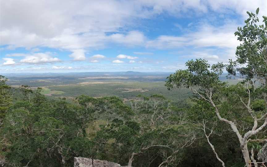 Mount Bauple National Park, Bauple, QLD