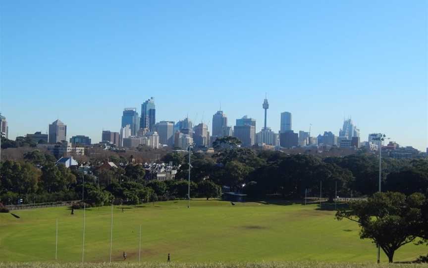 Mount Steel, Moore Park, NSW