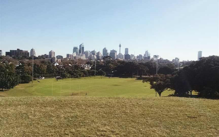 Mount Steel, Moore Park, NSW