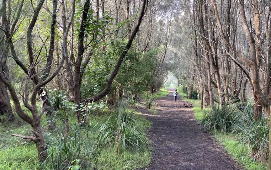 Murramarang Aboriginal Area Walking Track, Lake Tabourie, NSW