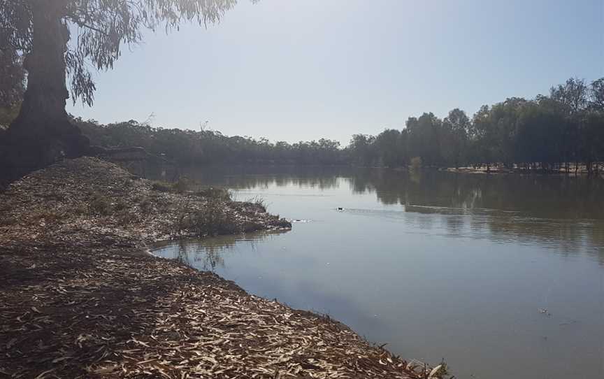 Murray River National Park - Katarapko, Glossop, SA