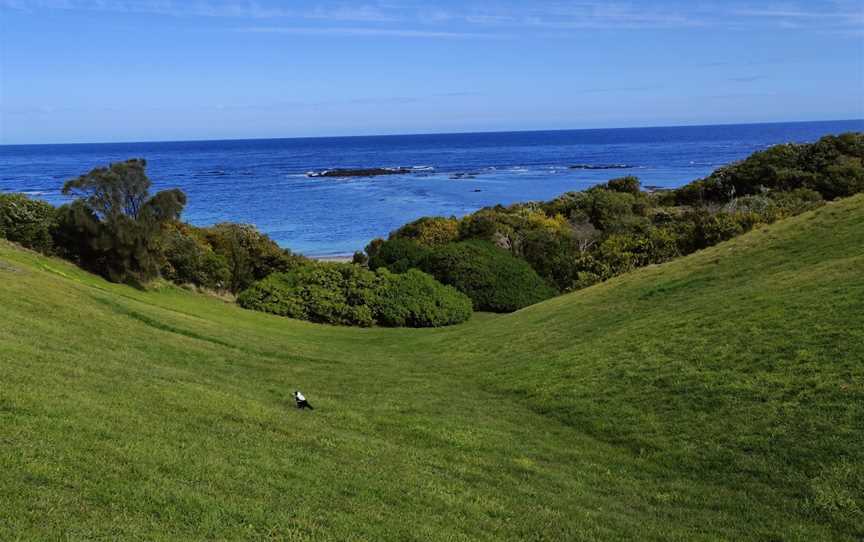 Mushroom Reef Beach, Flinders, VIC