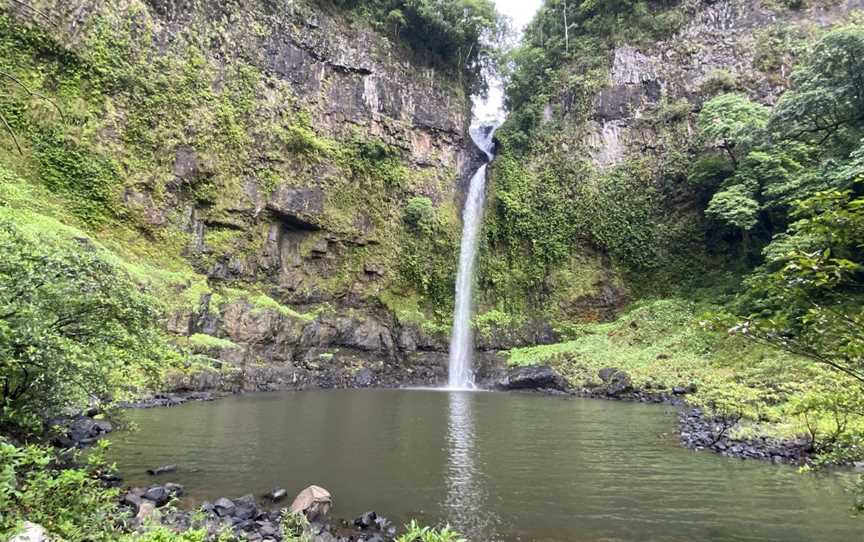 Nandroya Falls, Wooroonooran, QLD