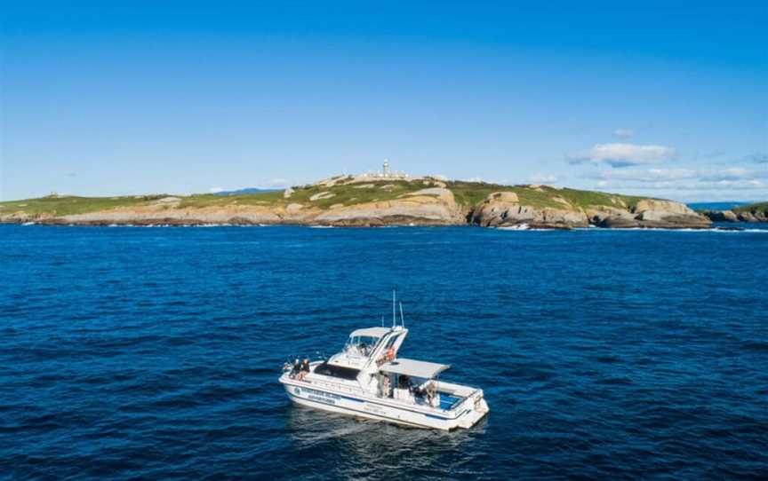 Narooma Surf Beach, Narooma, NSW