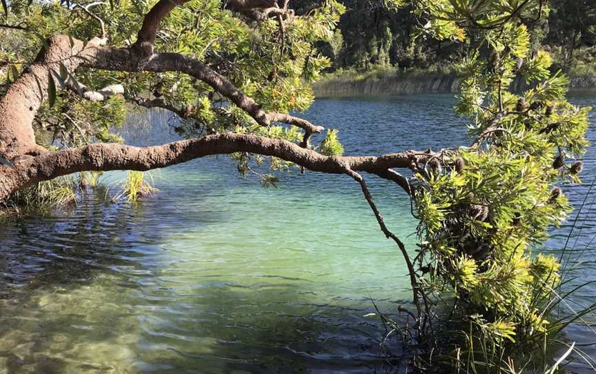 Naree Budjong Djara National Park, North Stradbroke Island, QLD