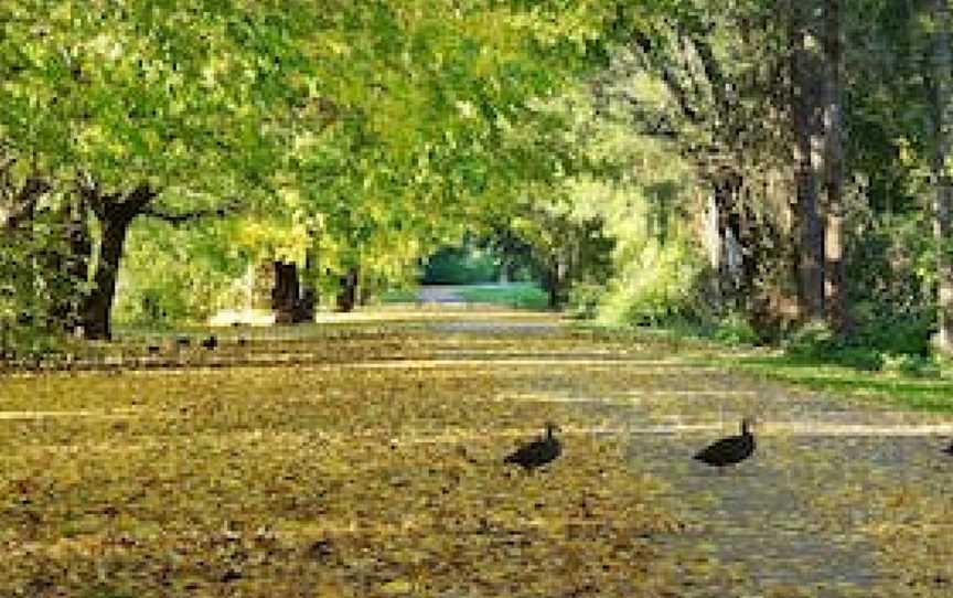 Nepean River Cycleway, Camden, NSW