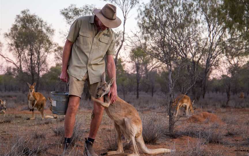 Nina's Ark Wildlife Sanctuary, Alice Springs, NT