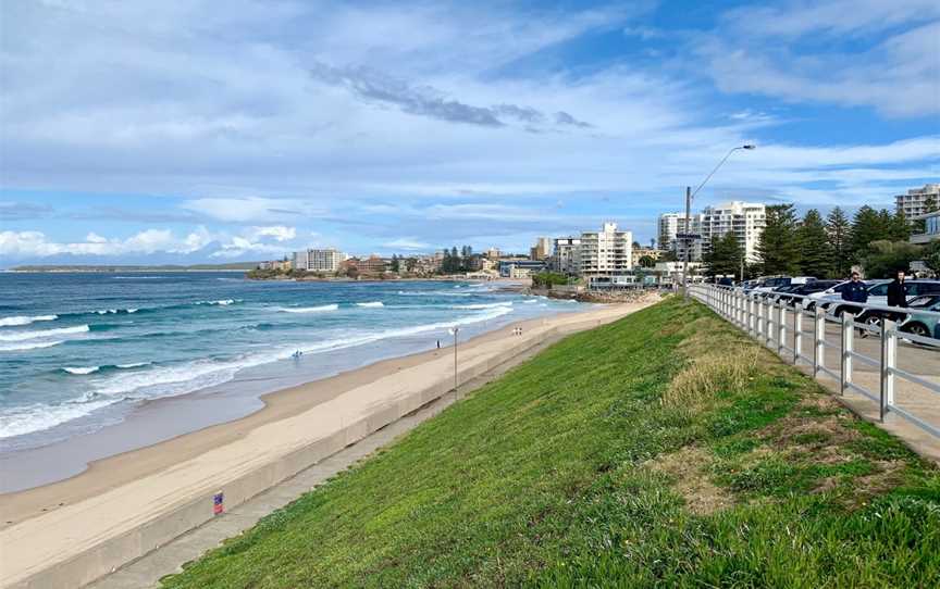 North Cronulla Beach, Nature & Trails in Cronulla