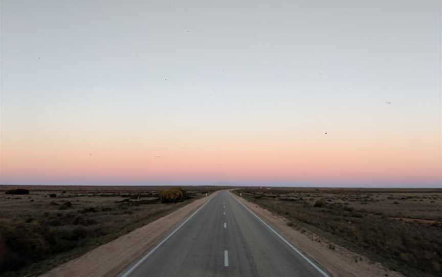 Nullarbor National Park, Nullarbor, SA