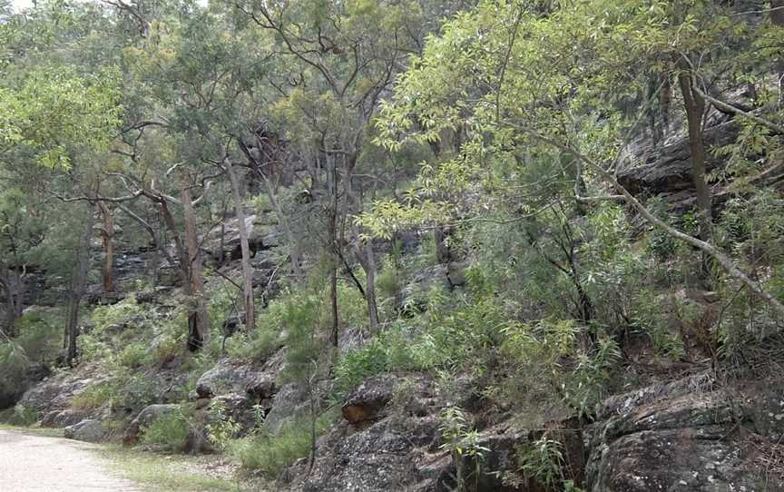 Old Great North Road - World Heritage Walk, Wisemans Ferry, NSW