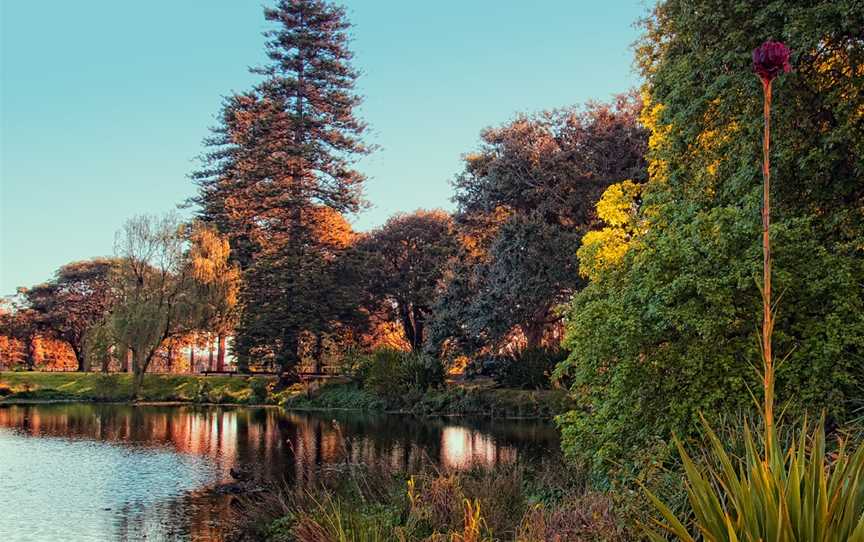 One More Shot Pond, Centennial Park, NSW