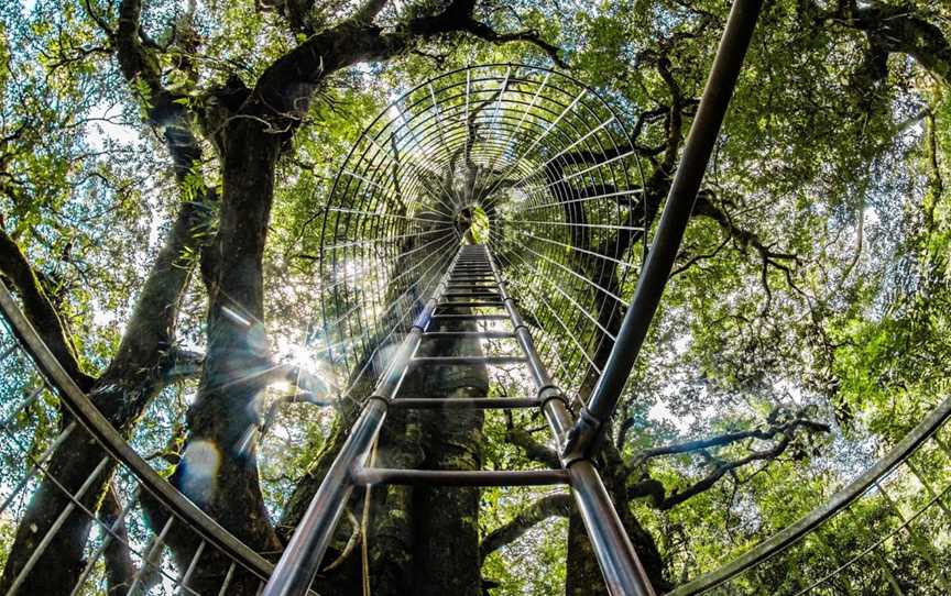 O'Reilly's Tree Top Walk, O'Reilly, QLD