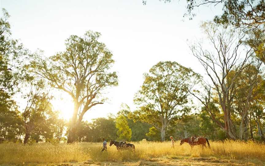 Oxley Recreation Reserve, Oxley, VIC