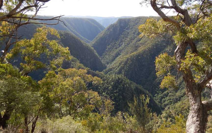 Oxley Wild Rivers National Park, Yarrowitch, NSW