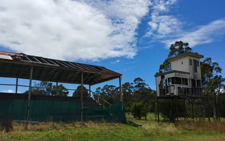 Panboola Wetlands, Pambula, NSW